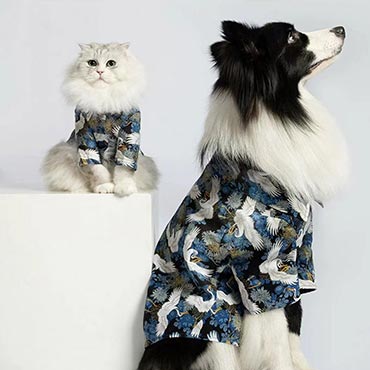  Vintage Summer Chic: Pet-Friendly Shirts 