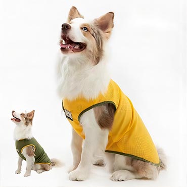 Cool Vests and Shed-Proof Jackets for Dogs