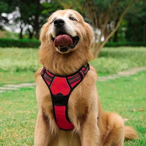 No-Pull Pet Harness + Leash Set