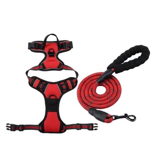 No-Pull Pet Harness + Leash Set