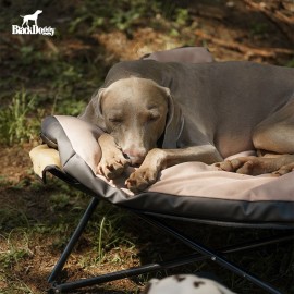 Portable Dog Bed