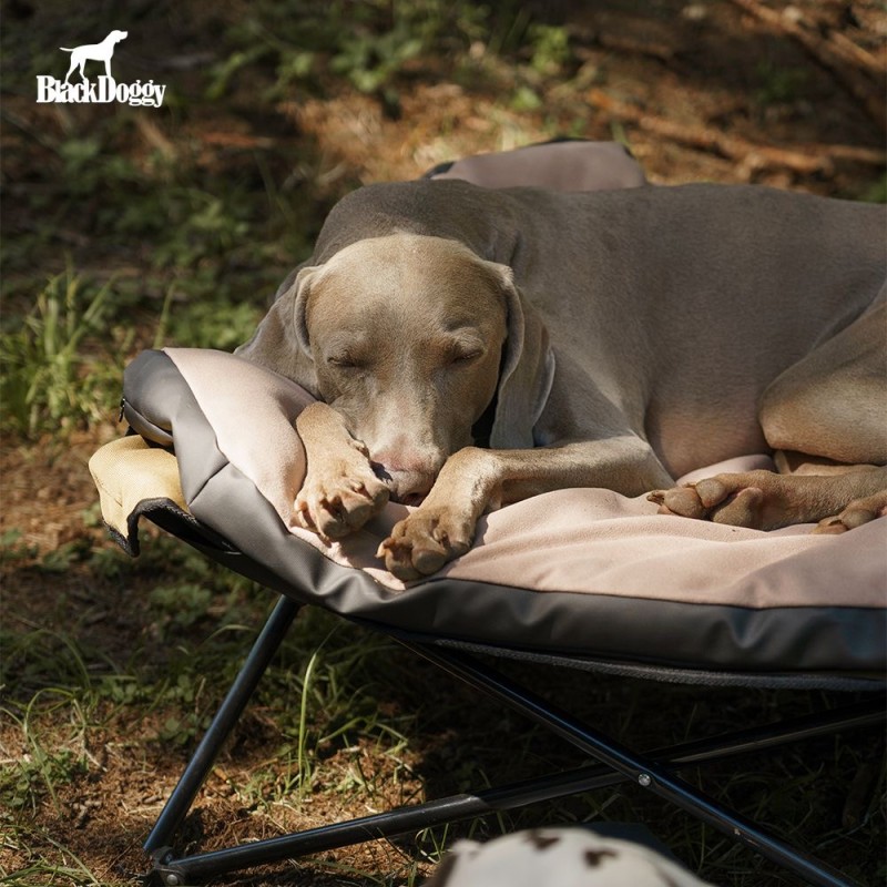 Portable Dog Bed 